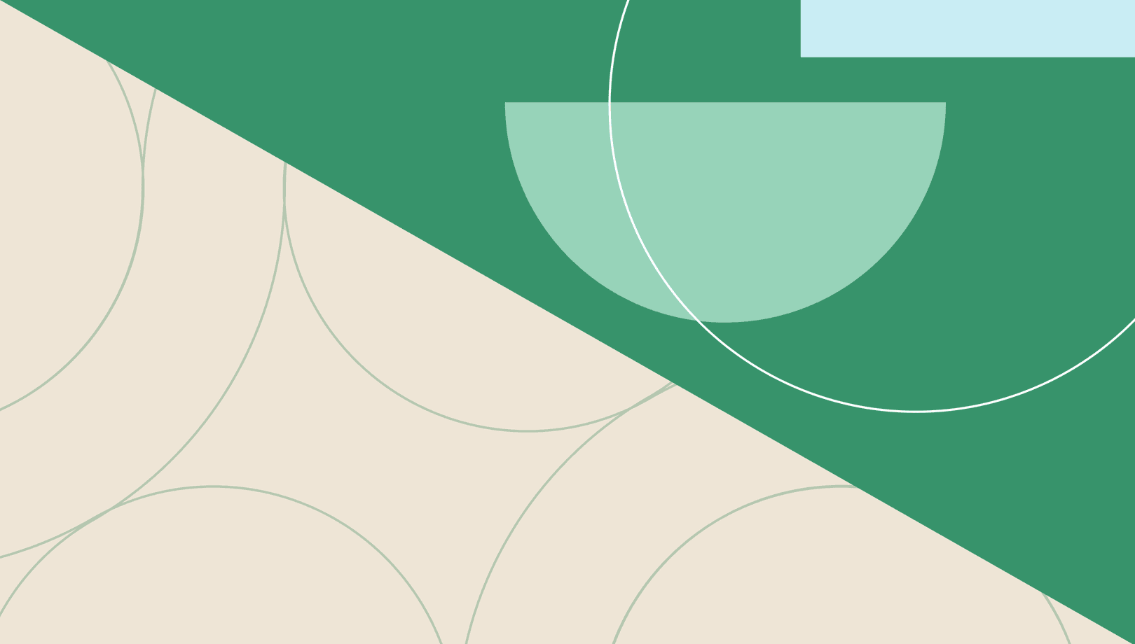 The power of payers: leading the way in healthcare innovation